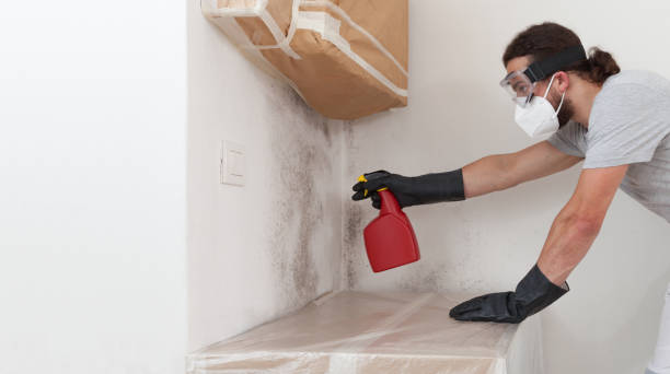 Professional Black Mold Removal technician working in Painter, VA