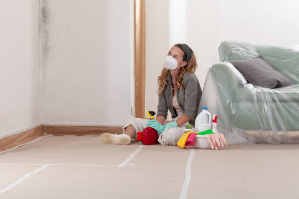 Reliable Black Mold Removal contractor in Painter, VA by WQB Mold Removal